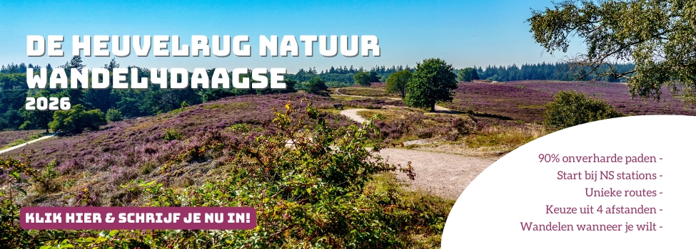 Schrijf je nu in voor de Heuvelrug natuur Wandel4daagse 2026
